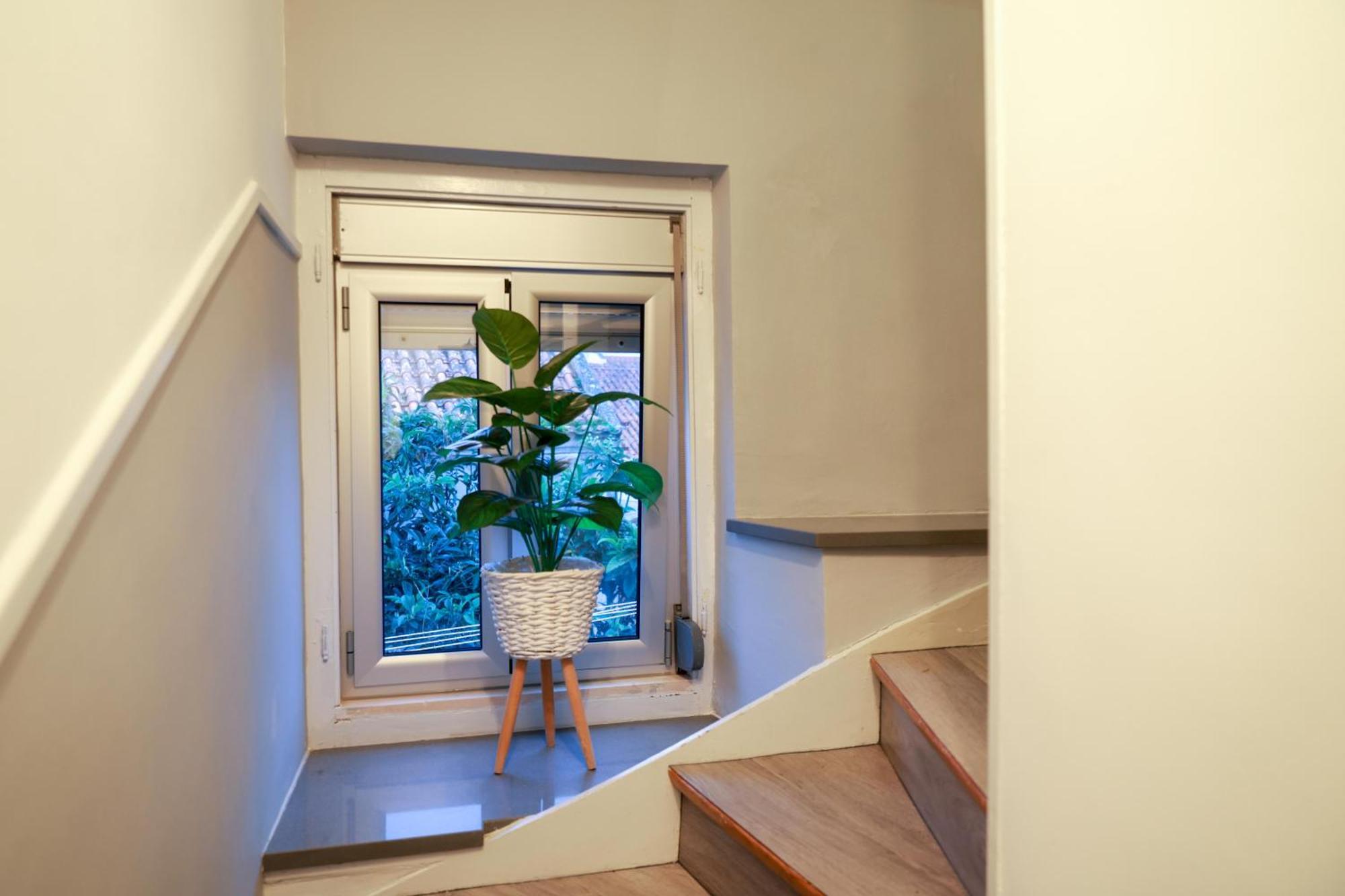 Guest House Abegorias נאזרה מראה חיצוני תמונה